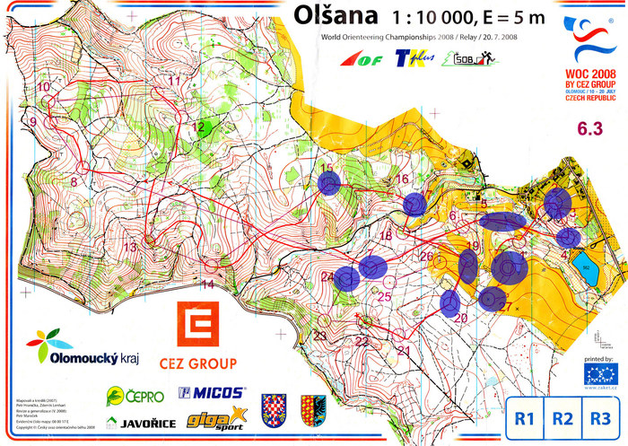 woc2008-relay_tv_s.jpg